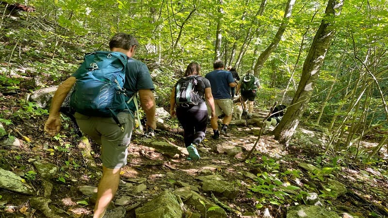 Hiking: Calories Burned, Weight Loss, and More