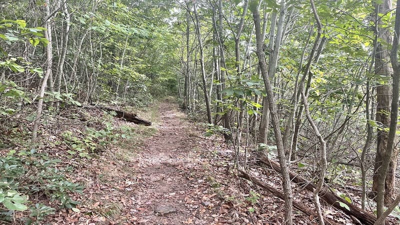 Appalachian Trail in Virginia