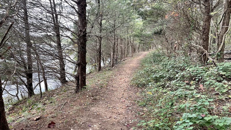 A forested hike on the Beaverdam Reservoir Trail