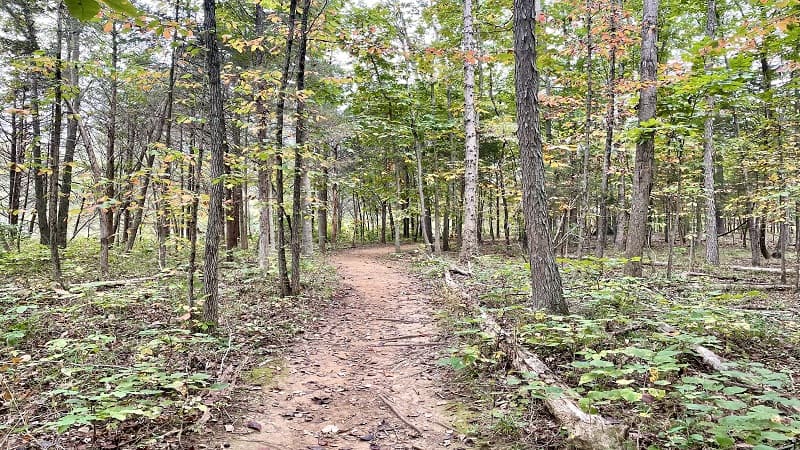 Hiking Trail at Beaverdam Reservoir