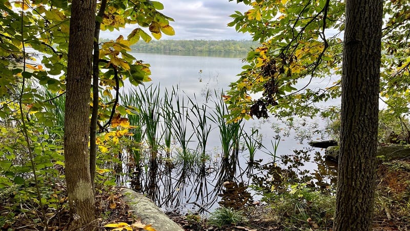 Beavedam Reservoir Views