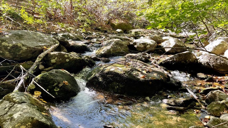 Broad Hollow Run at Shenandoah National Park