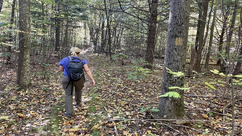 Walking on the Yellow-Blazed Hazel Mountain Trail