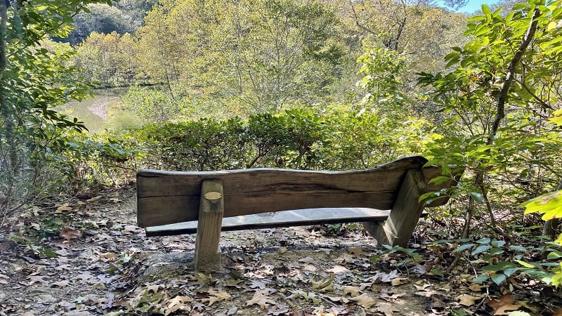 Wooden Bench at Ivy Creek Natural Area