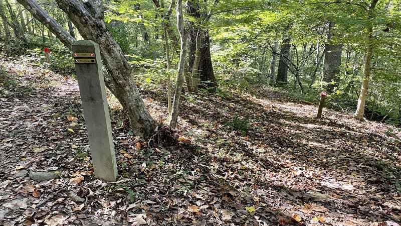 Red Trail at Ivy Creek Natural Area