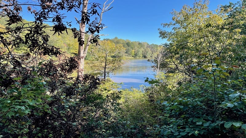 Ivy Creek Natural Area Reservoir Views in Charlottesville, Virginia