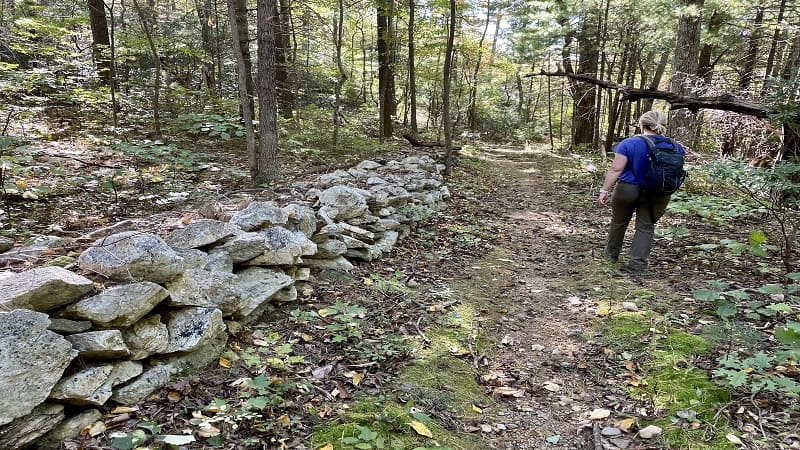 Pine Hill Gap Trail