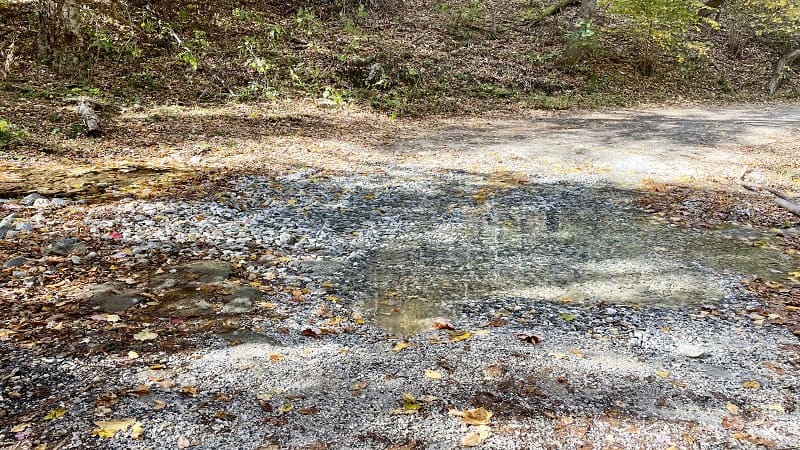 Stream Crossing on Meadows Lane