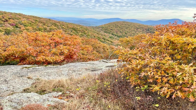 Scenic Views from Spy Rock Hike Summit Near Montebello, Tyro Virginia