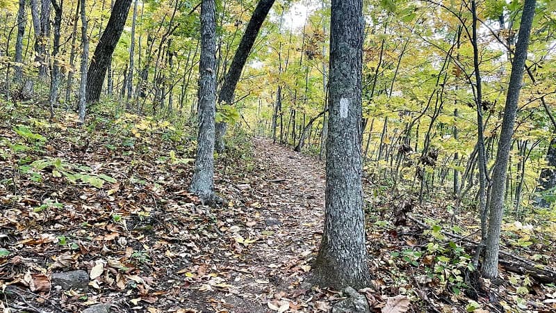 Appalachian Trail