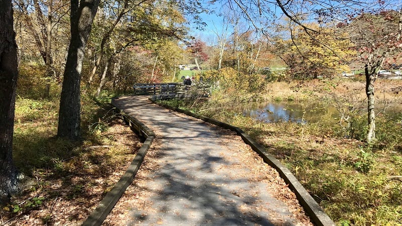 Abbott Lake Trail