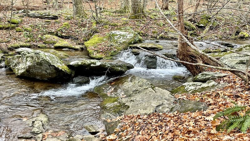 Cascading Mill Prong at Shenandoah National Park