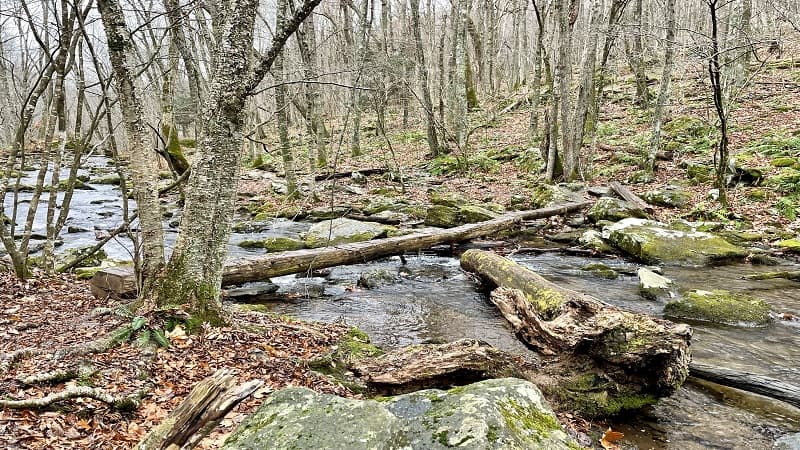 Log Crossing Over Mill Prong