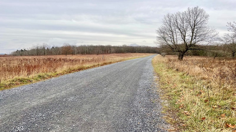 Rapidan Fire Road at Big Meadows