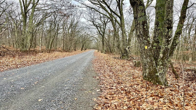 Rapidan Fire Road