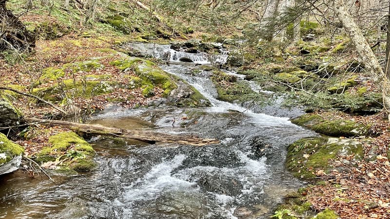 Scenic Cascades at Mill Prong