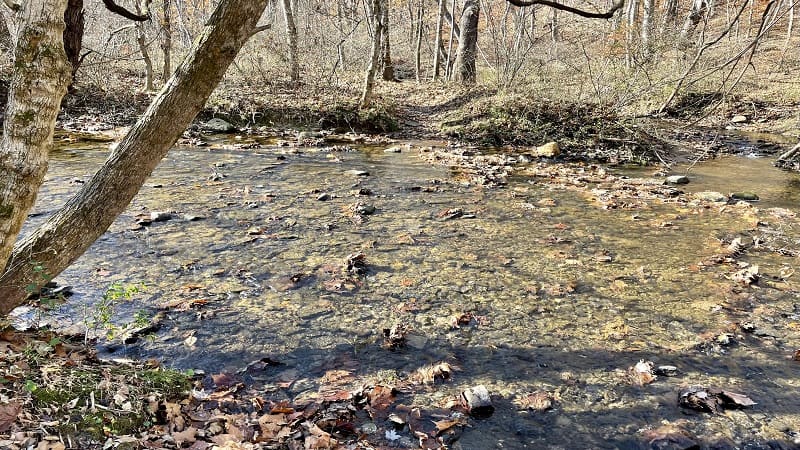 Piney Run Crossing