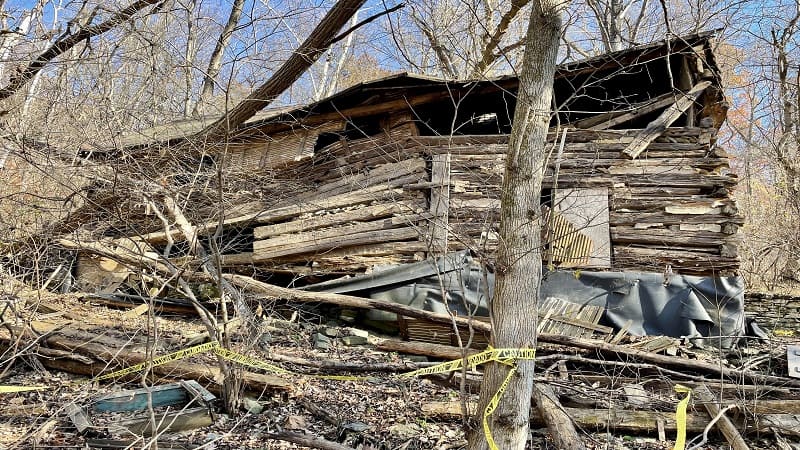 Second Historic Cabin Ruins