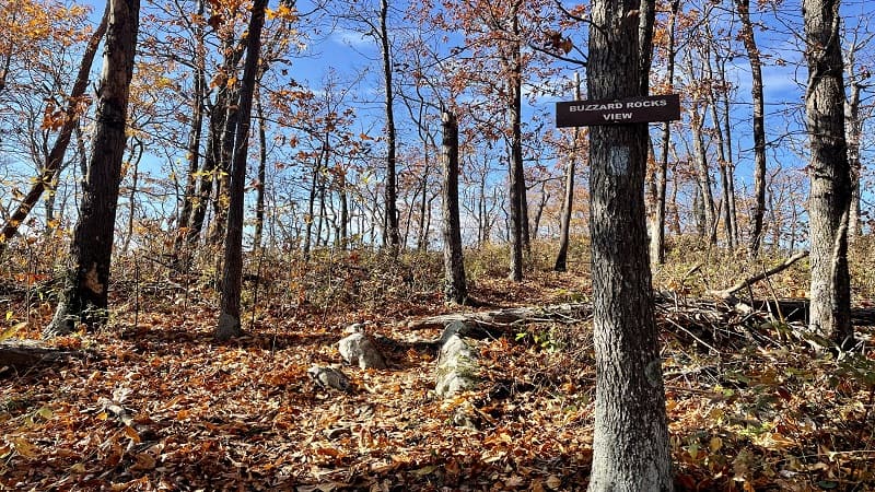 Buzzard Rocks View Sign