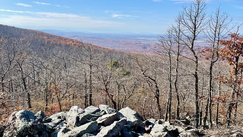 Buzzard Rocks View