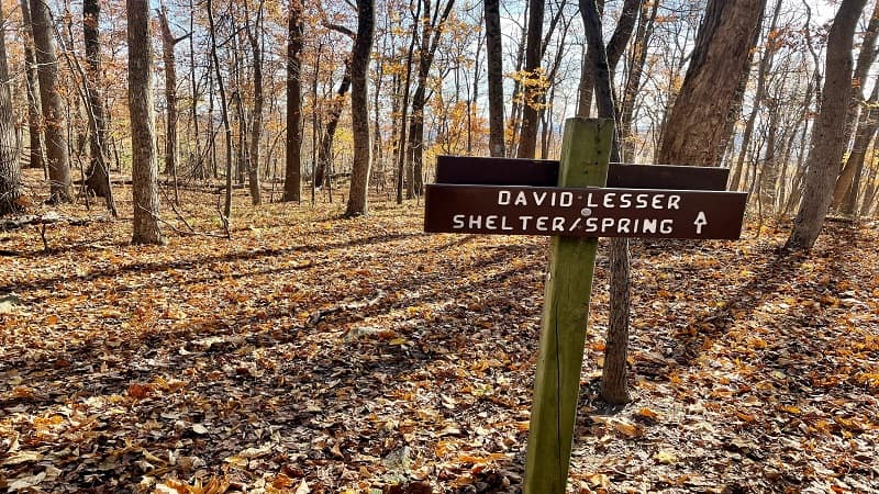David Lesser Shelter Sign