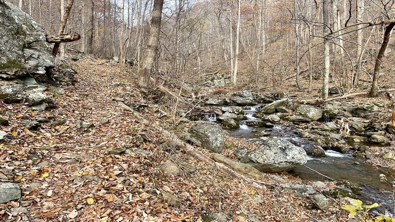 Doyles River Trail