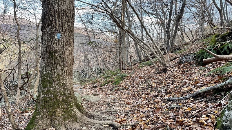 Blue Blazed Jones Run Trail to Jones Run Falls