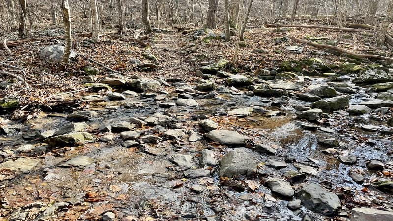 Jones Run Water Crossing