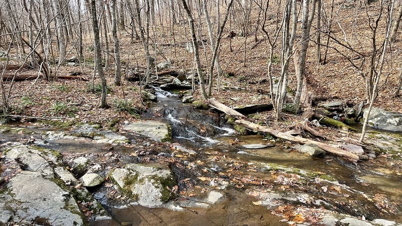 Jones Run Cascades