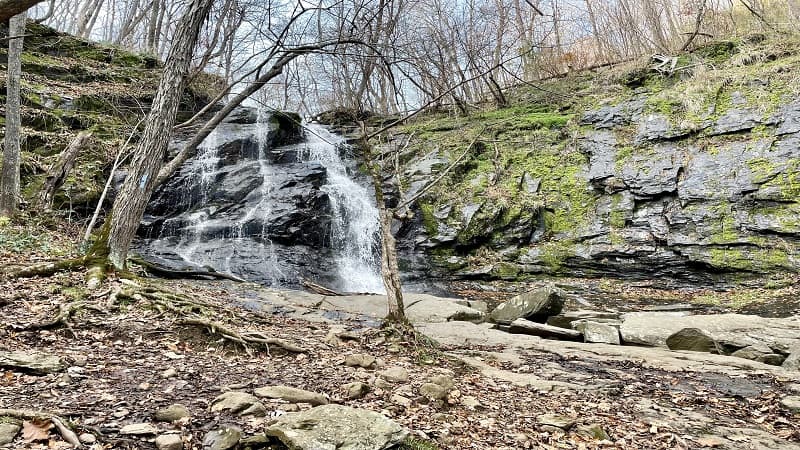 Jones Run Falls