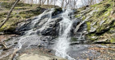 Jones Run Falls at Shenandoah National Park in Virginia