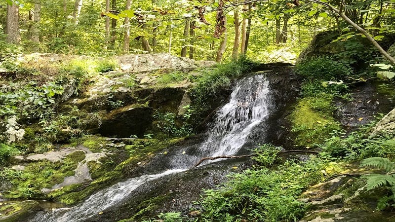 Lands Run Falls at Shenandoah National Park