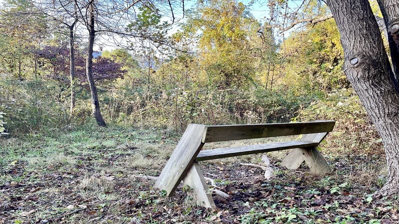 View Bench on the Appalachian Trail in Virginia