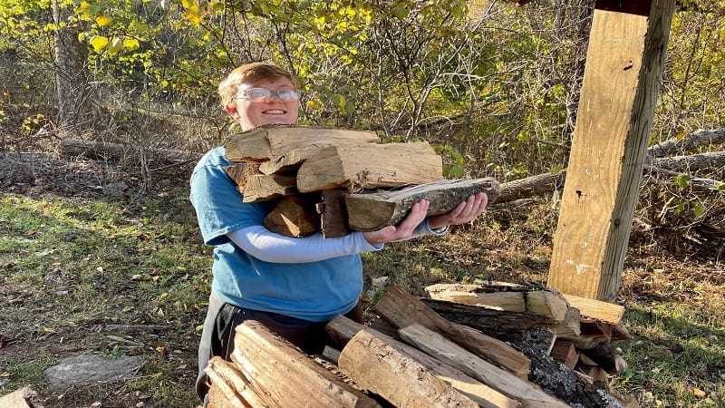 Firewood at Sky Meadows State Park