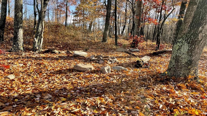 Camp Site on Scothorn Gap Trail