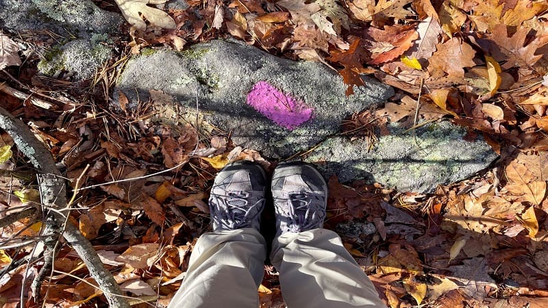 Pink Blazes on Rocks on Strickler Knob Trail