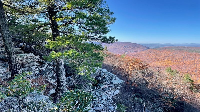 Ridgeline Views on Strickler Knob Trail