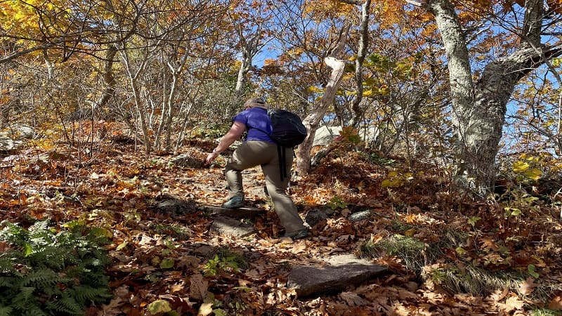 climbing steps on the trail when hiking for weight loss