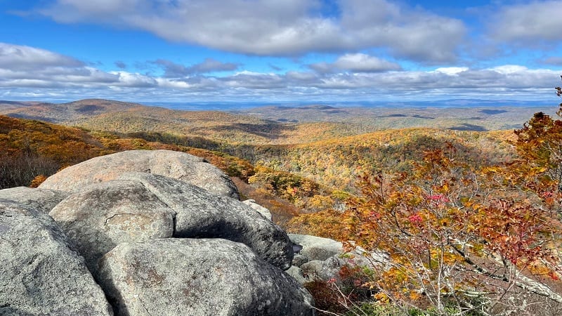 The Priest Summit