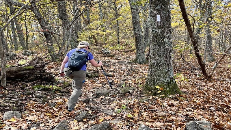 Hiking to The Priest Summit