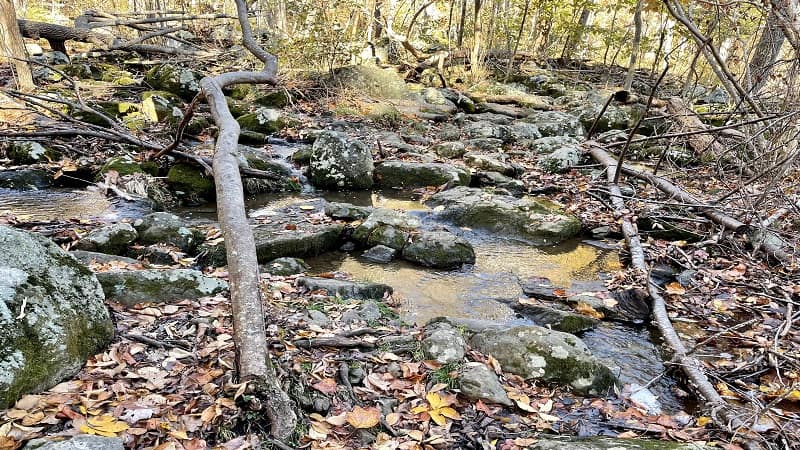 Whiskey Creek at G.R. Thompson Wildlife Management Area