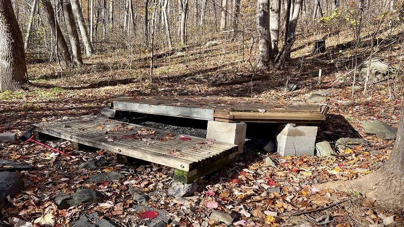 Dick's Dome Platform Near Whiskey Hollow Shelter