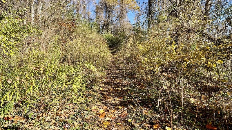 Hiking Trail at G.R. Thompson Wildlife Management Area