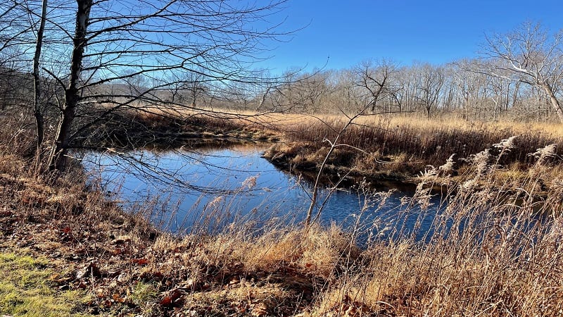 Small Pond