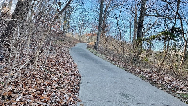 Steep Cart Path