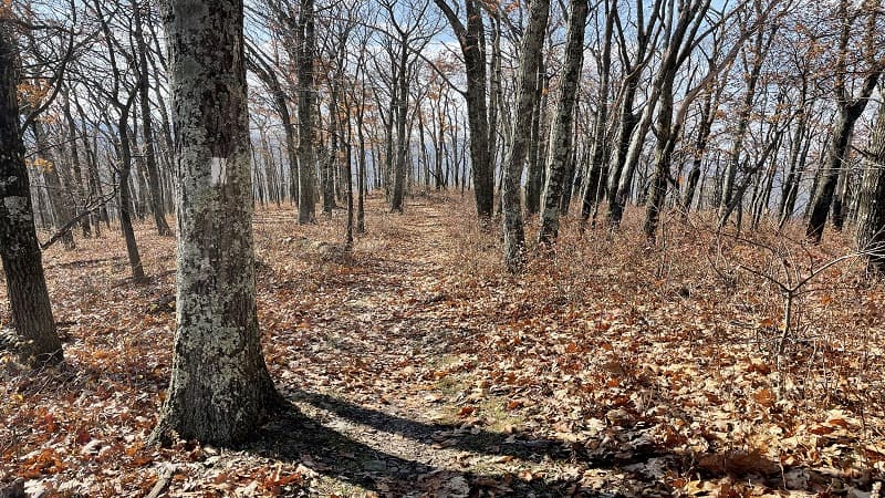 Appalachian Trail