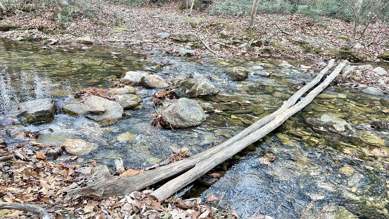 Creek Crossing on Wildcat Ridge Trail