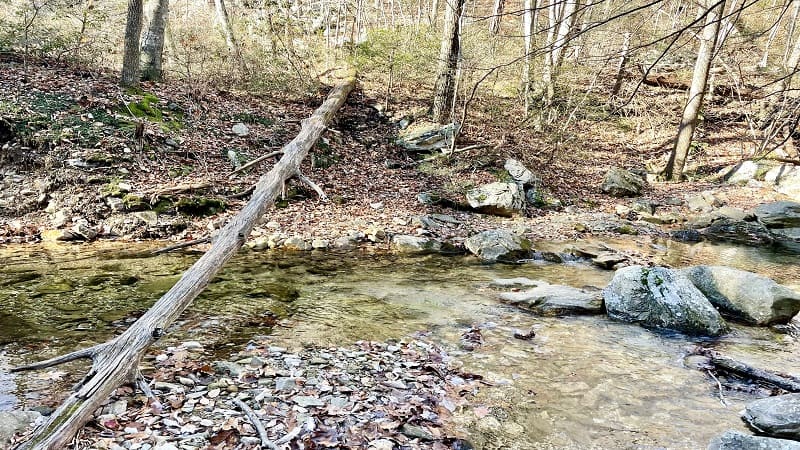 Riprap Creek Crossing