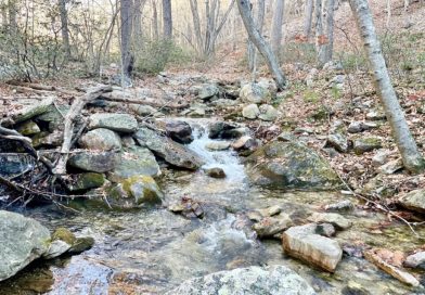 Best Hikes Near Waynesboro, Virginia