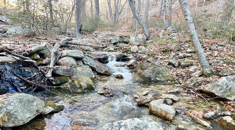 Best Hikes Near Waynesboro, Virginia